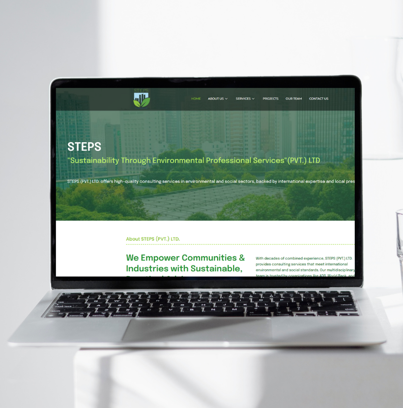 Website mockup preview